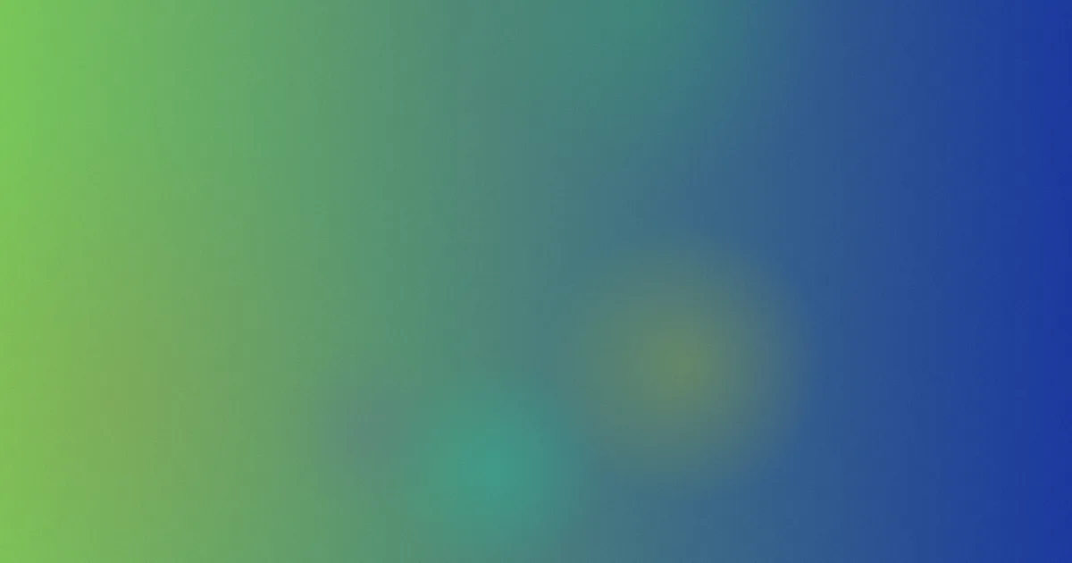 成人娱乐网攻略：四类平台怎么选